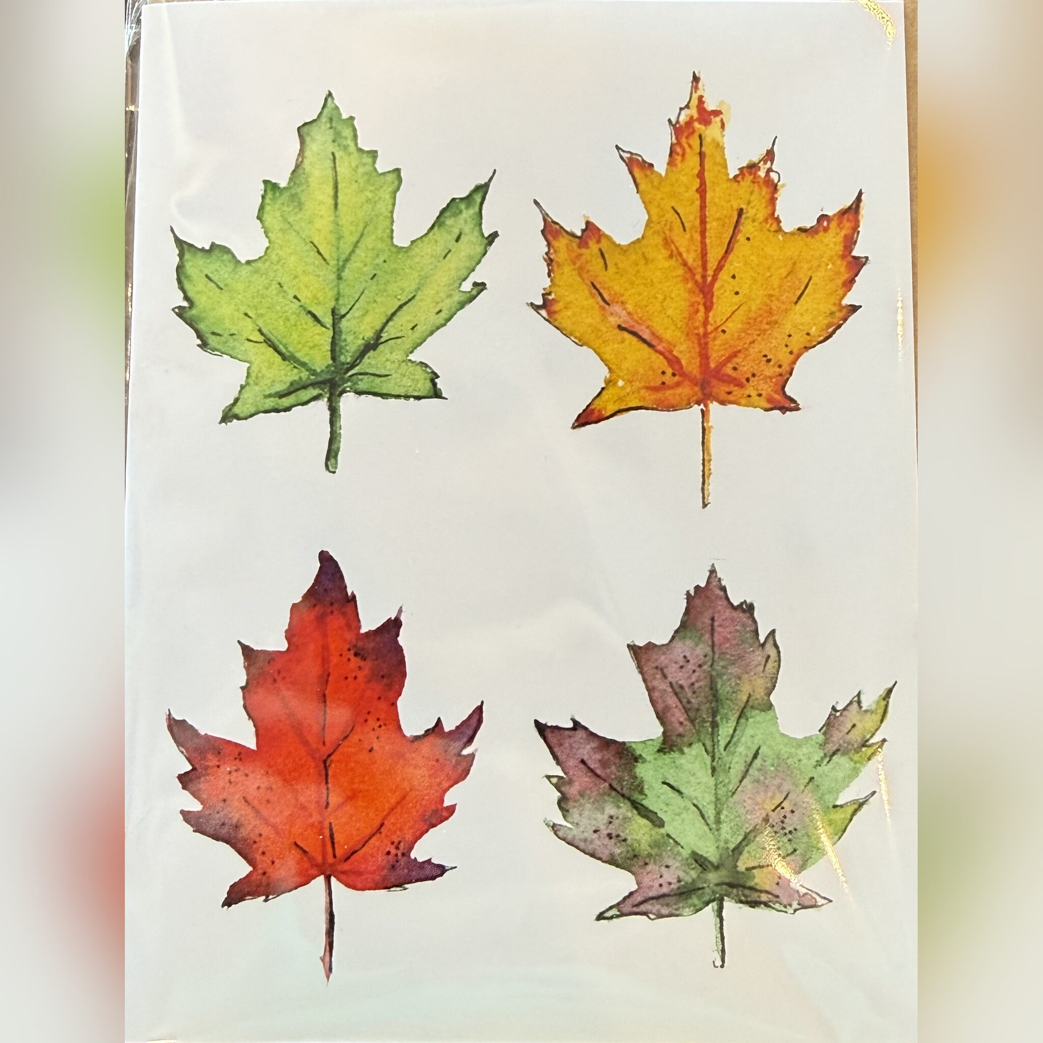 Greeting Cards by Melissa Van Dam - Maple Leaves 2x2