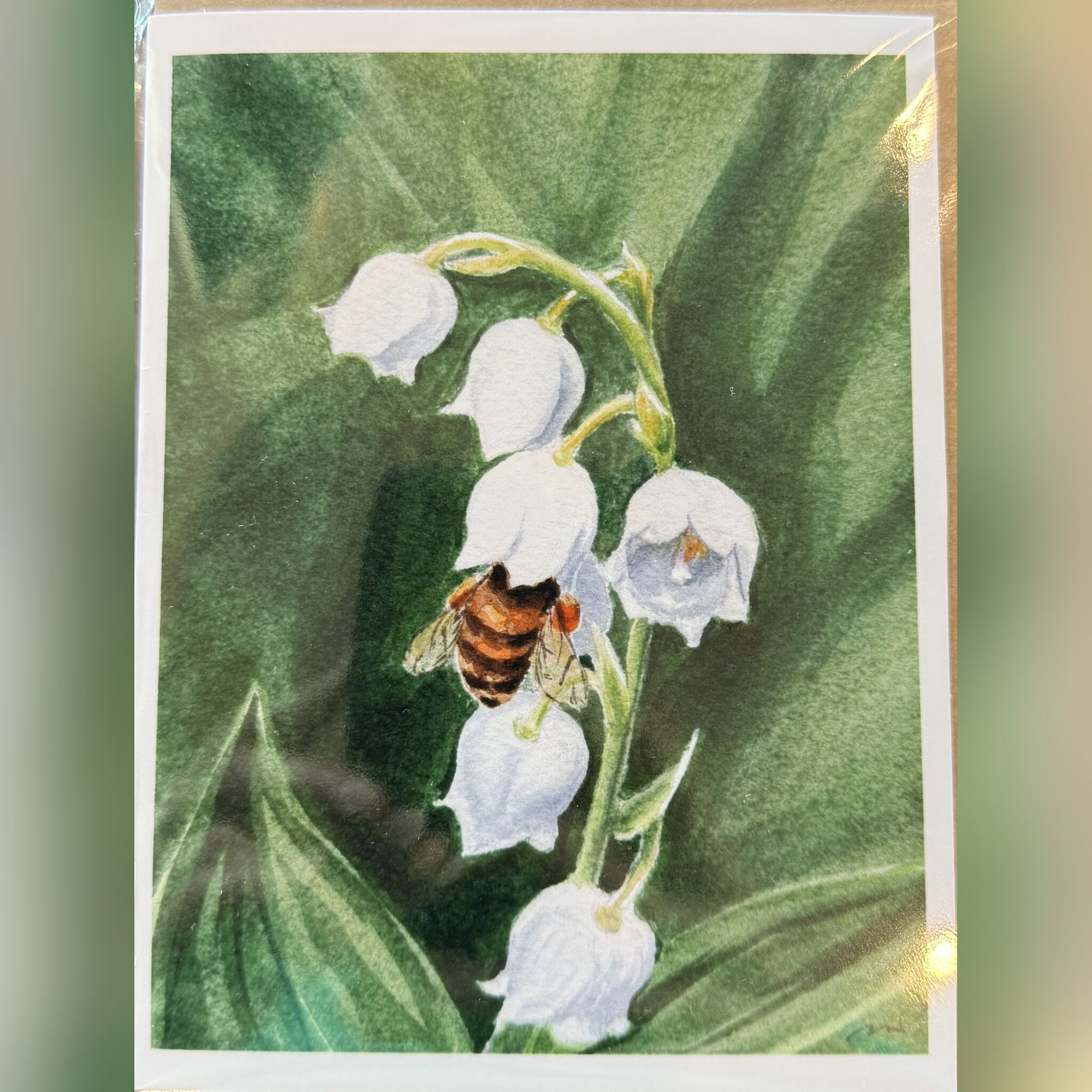 Greeting Cards by Melissa Van Dam - Lily of the Valley