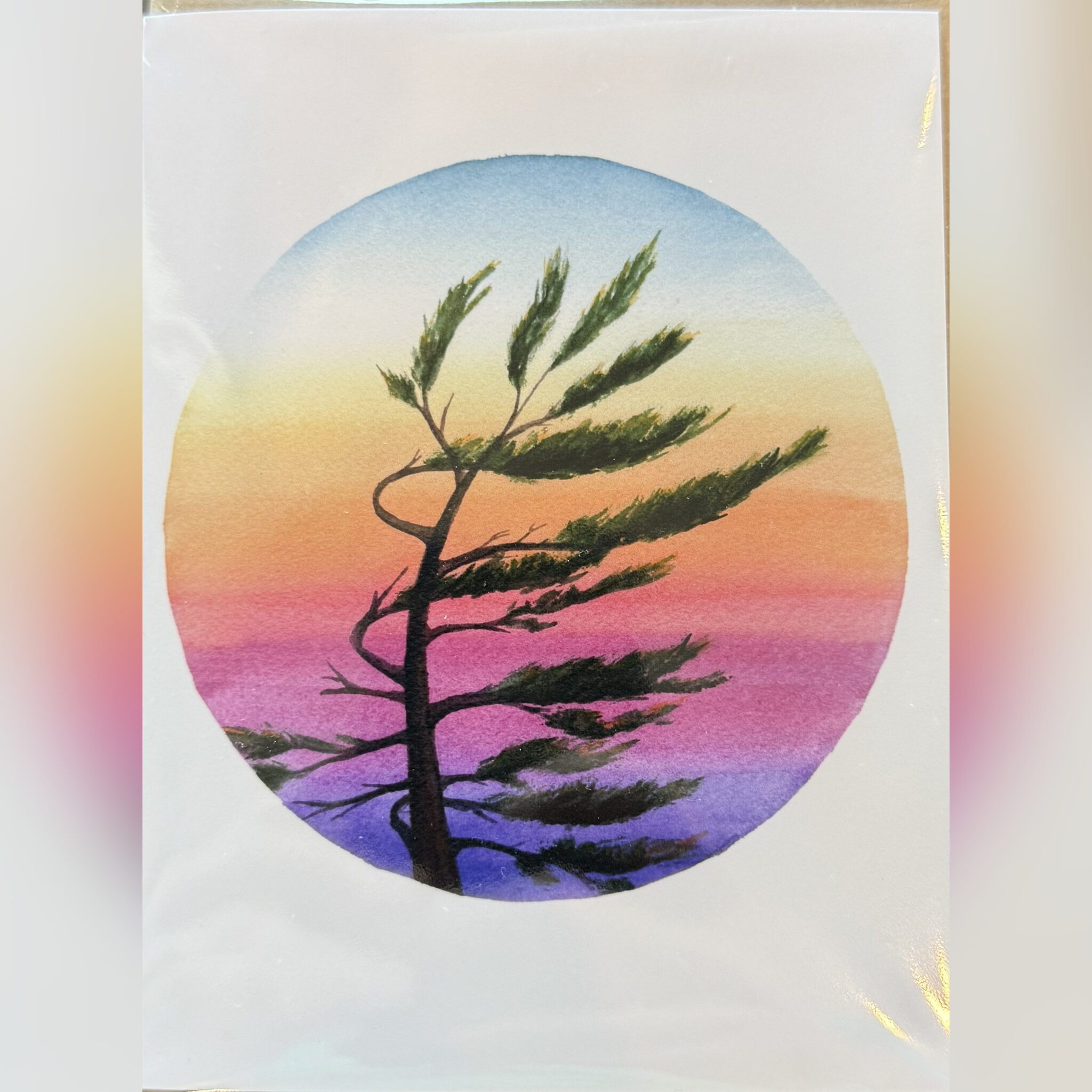 Greeting Cards by Melissa Van Dam - Eden's Sunset