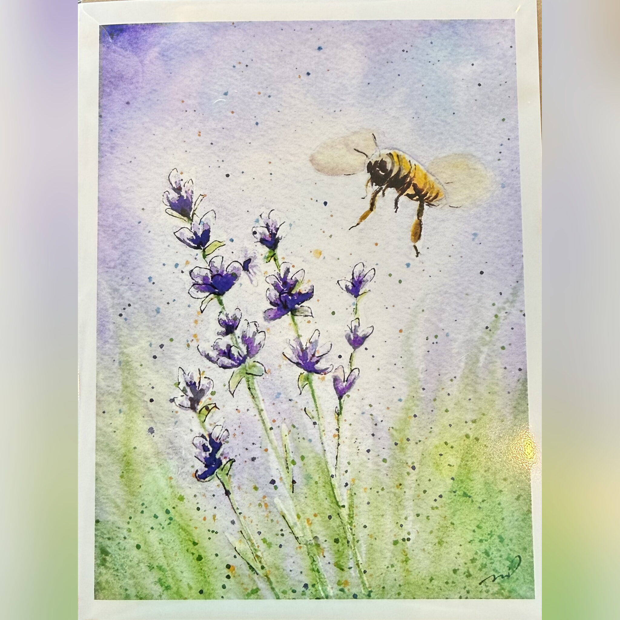Greeting Cards by Melissa Van Dam - Seeker