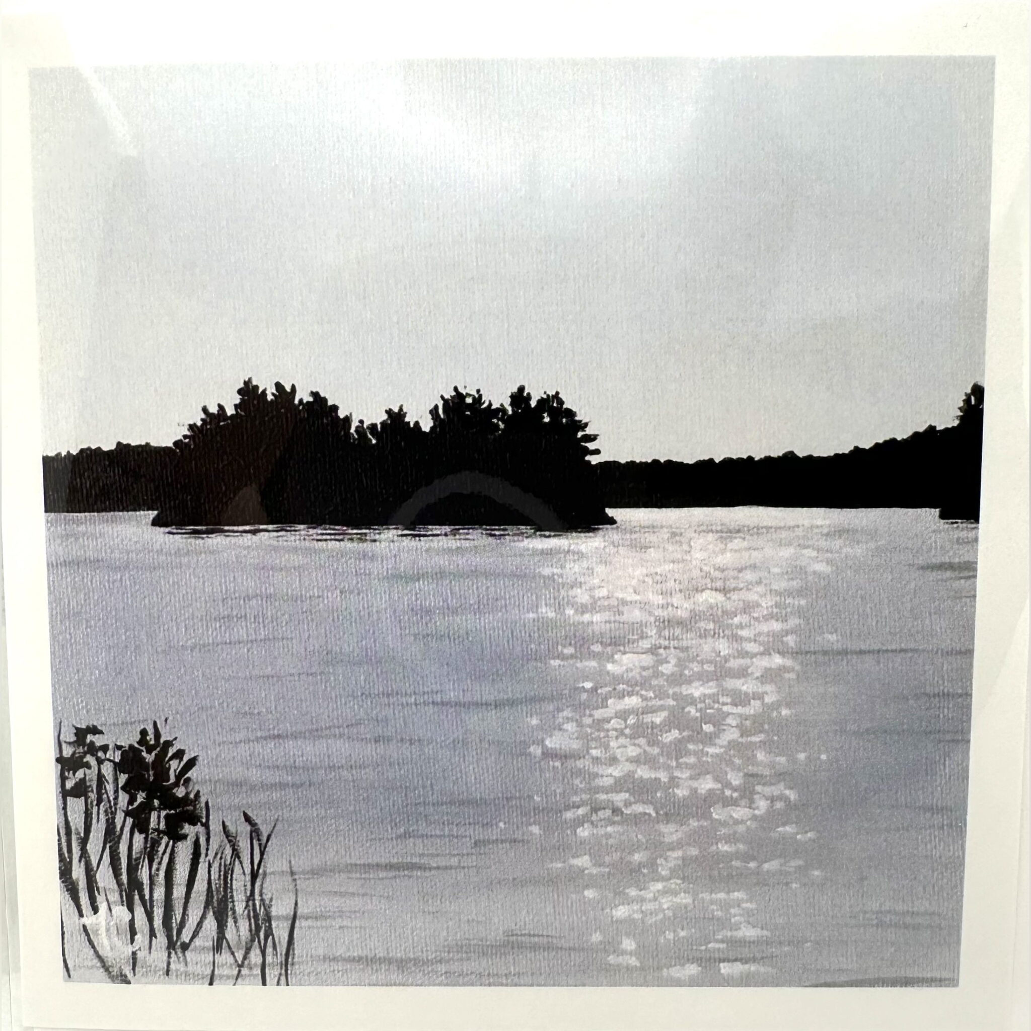 Greeting Cards by Tammy Coo - Shimmer