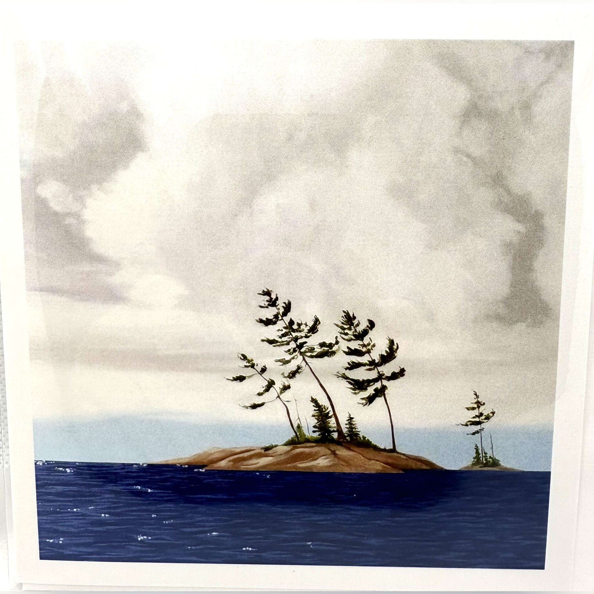 Greeting Cards by Tammy Coo - Windswept